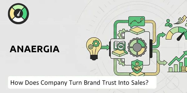 What is Sales and Marketing Strategy of Anaergia Company?