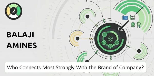 What is Customer Demographics and Target Market of Balaji Amines Company?