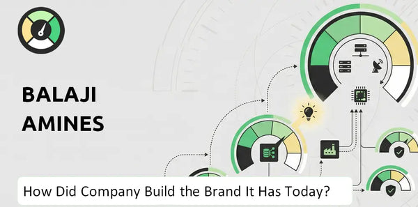What is Brief History of Balaji Amines Company?