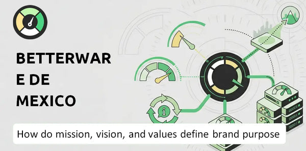 What Do the Mission, Vision, and Values of Betterware de Mexico Company Say About Its Brand Purpose?