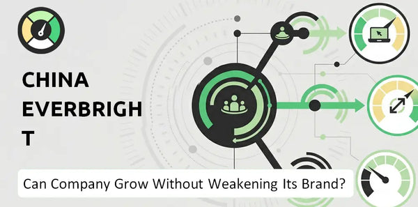 What is Growth Strategy and Future Prospects of China Everbright Environment Group Company?
