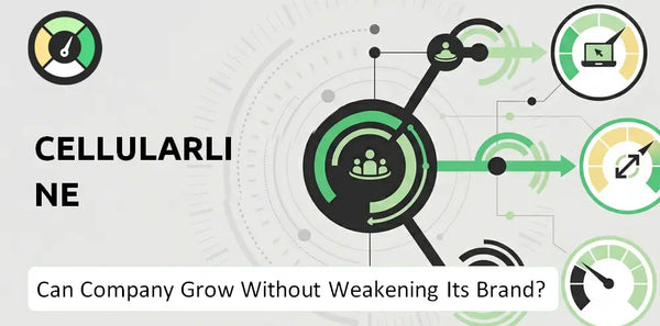 What is Growth Strategy and Future Prospects of Cellularline Company?