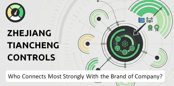 What is Customer Demographics and Target Market of Zhejiang Tiancheng Controls Company?