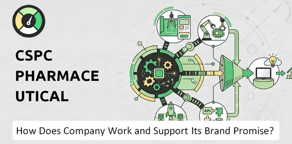 How Does CSPC Pharmaceutical Group Company Work?