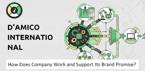 How Does d'Amico International Shipping Company Work?