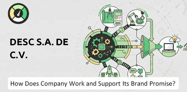 How Does DESC S.A. de C.V. Company Work?