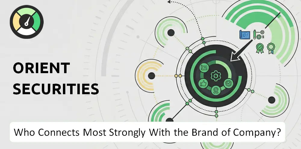 Dfzq Company Brand Audience