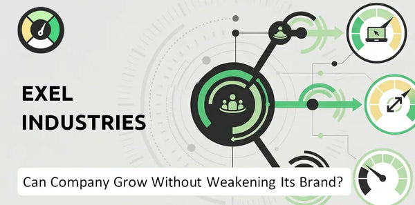 What is Growth Strategy and Future Prospects of Exel Industries Company?