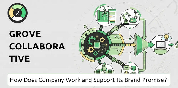 How Does Grove Collaborative Company Work and Support Its Brand Promise?