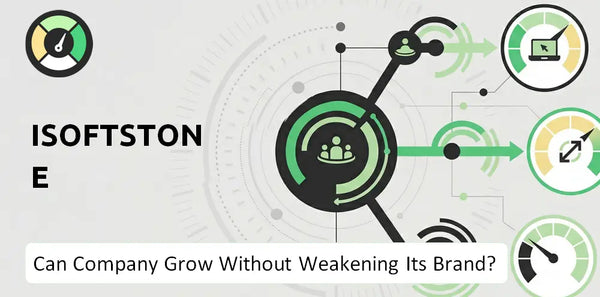 What is Growth Strategy and Future Prospects of iSoftStone Company?