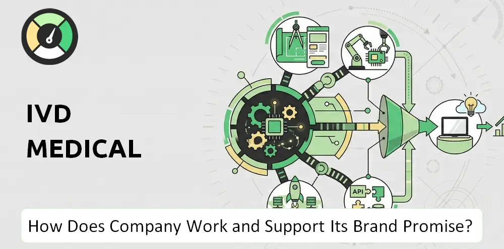 Ivdholding Company Brand Operations