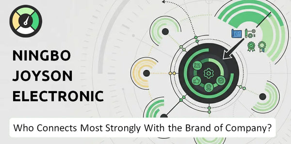 What is Customer Demographics and Target Market of Ningbo Joyson Electronic Company?