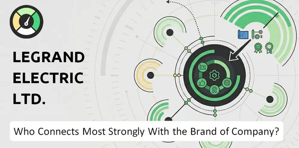 What is Customer Demographics and Target Market of Legrand Electric Ltd. Company?