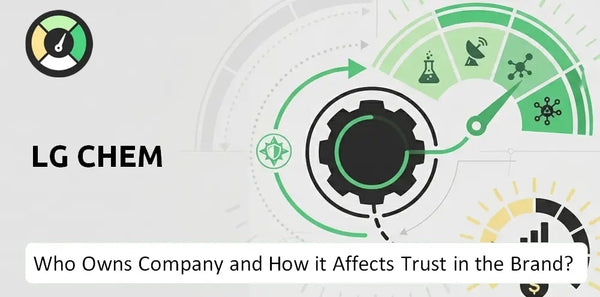Who Owns LG Chem Company?