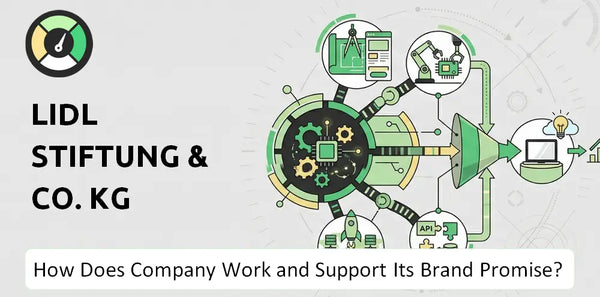 How Does Lidl Stiftung & Co. KG Company Work?