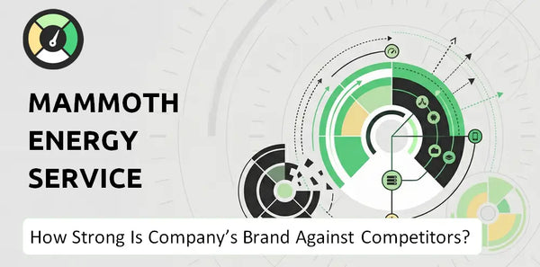 What is Competitive Landscape of Mammoth Energy Service Company?