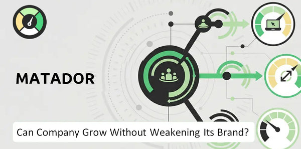 What is Growth Strategy and Future Prospects of Matador Company?