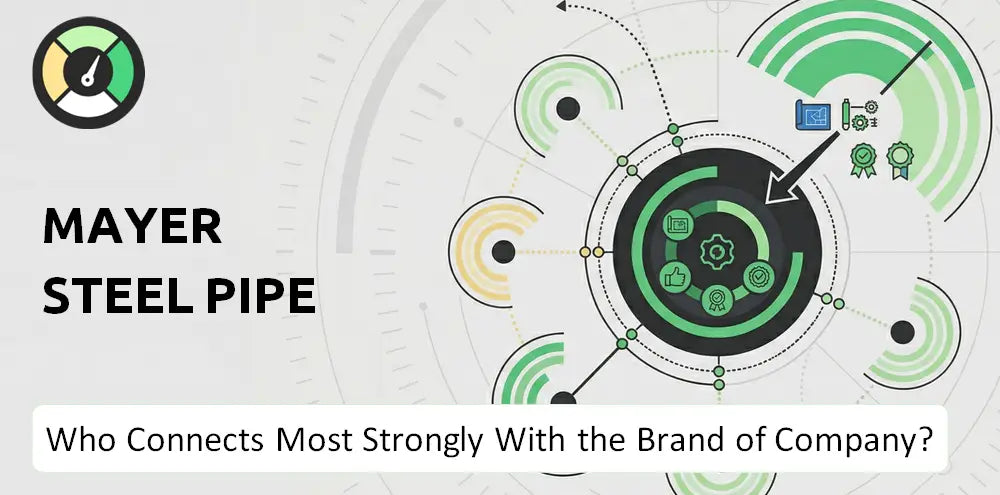 Mayer Company Brand Audience