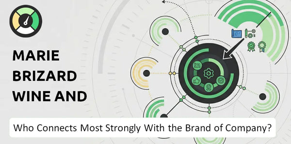 What is Customer Demographics and Target Market of Marie Brizard Wine and Spirits Company?