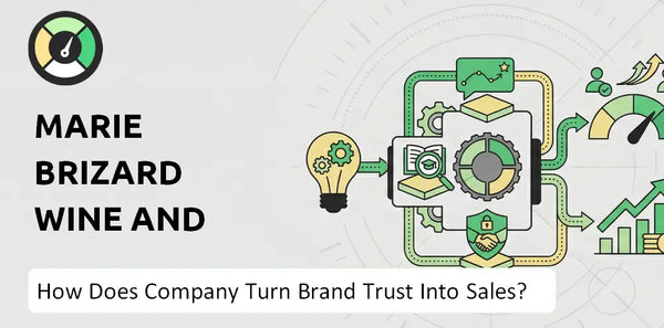 What is Sales and Marketing Strategy of Marie Brizard Wine and Spirits Company?