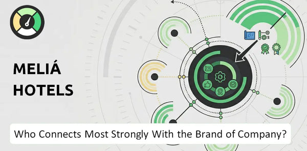 What is Customer Demographics and Target Market of Meliá Hotels Company?