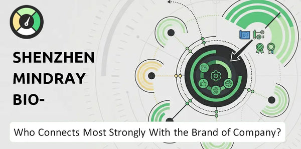 What is Customer Demographics and Target Market of Shenzhen Mindray Bio-Medical Electronics Company?