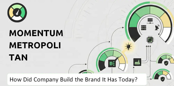 How Did Momentum Metropolitan Holdings Company Build the Brand It Has Today?