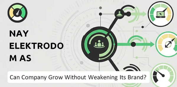 Can Nay Elektrodom AS Company Grow Without Weakening Its Brand?
