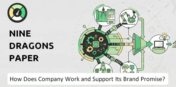 How Does Nine Dragons Paper (Holdings) Company Work?