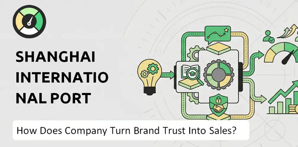 What is Sales and Marketing Strategy of Shanghai International Port Company?