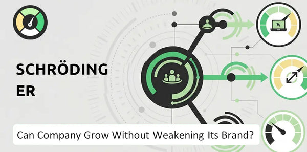 What is Growth Strategy and Future Prospects of Schrödinger Company?