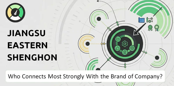 What is Customer Demographics and Target Market of Jiangsu Eastern Shenghong Company?