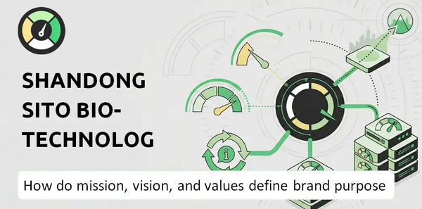 What Do the Mission, Vision, and Values of Shandong Sito Bio-technology Company Say About Its Brand Purpose?