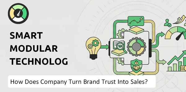 What is Sales and Marketing Strategy of Smart Modular Technologies Company?