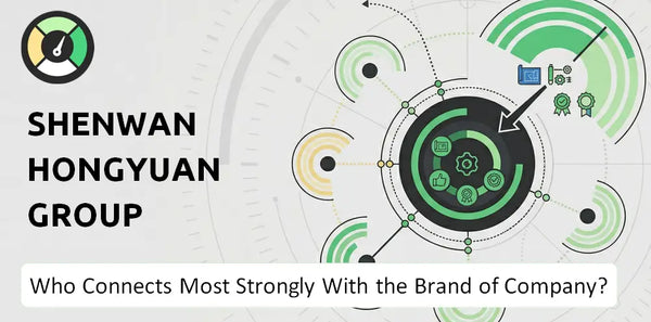 What is Customer Demographics and Target Market of Shenwan Hongyuan Group Company?