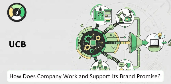 How Does UCB Company Work?