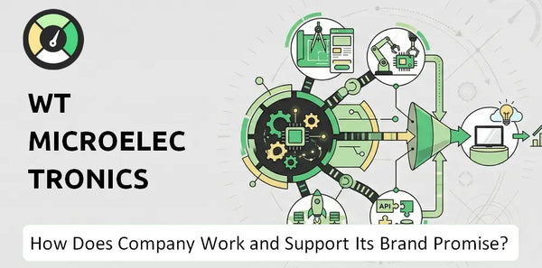How Does WT Microelectronics Company Work and Support Its Brand Promise?