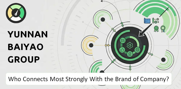 What is Customer Demographics and Target Market of Yunnan Baiyao Group Company?