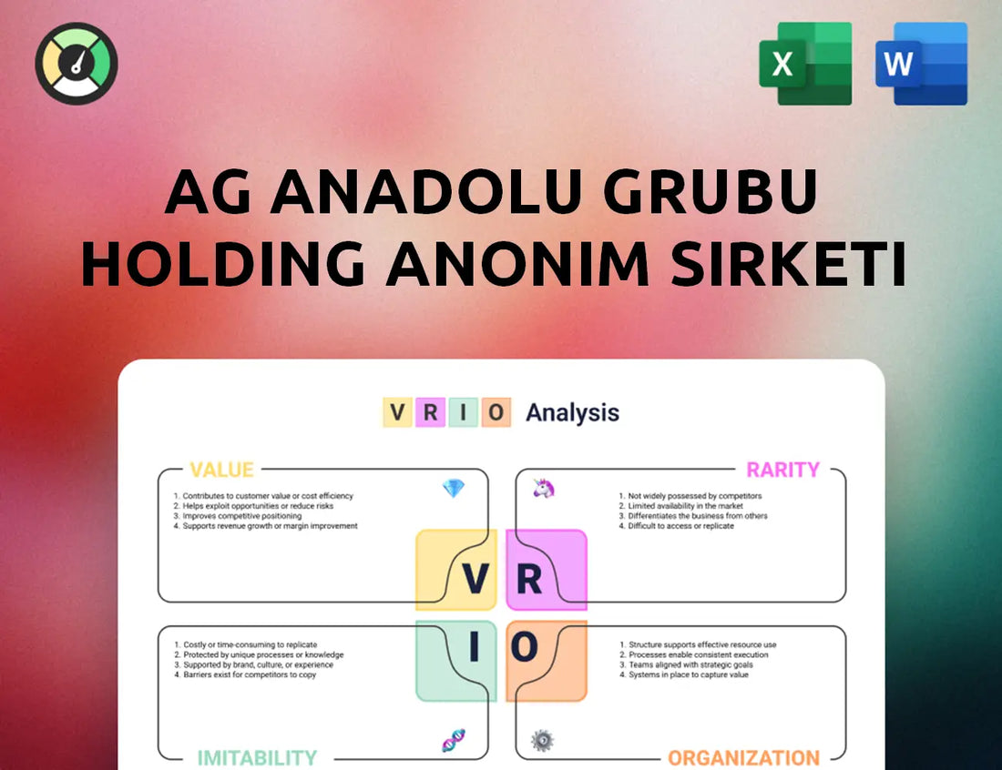 Ag Anadolu Grubu Holding Anonim Sirketi VRIO Analysis