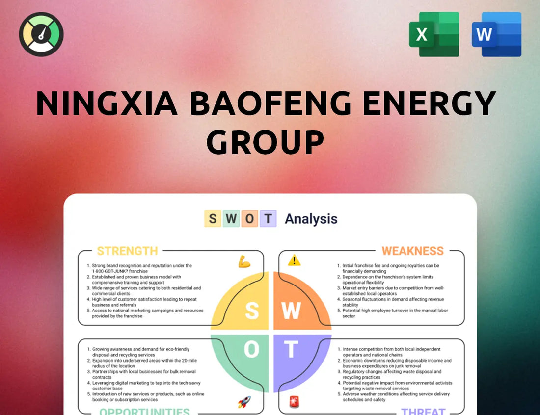 Ningxia Baofeng Energy Group SWOT Analysis