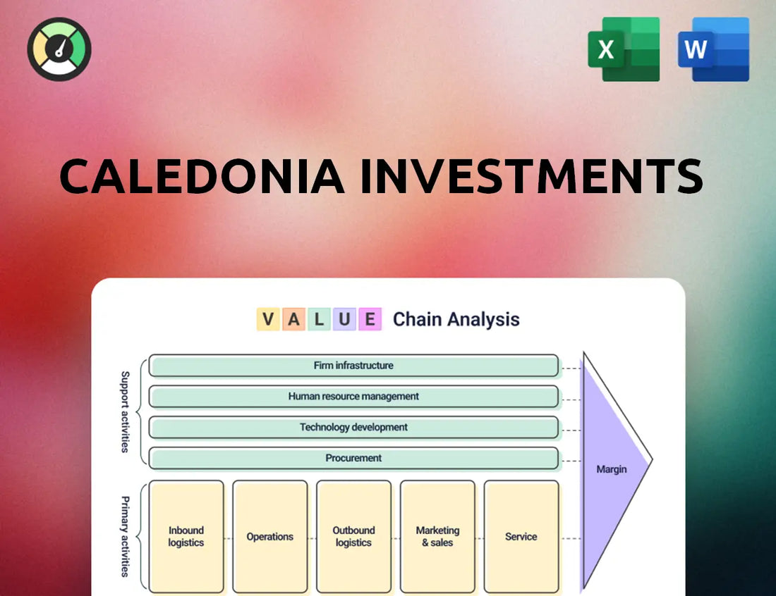 Caledonia Investments Value Chain Analysis