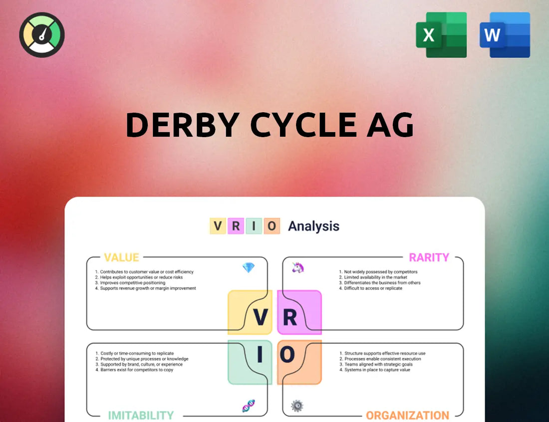 Derby Cycle AG VRIO Analysis