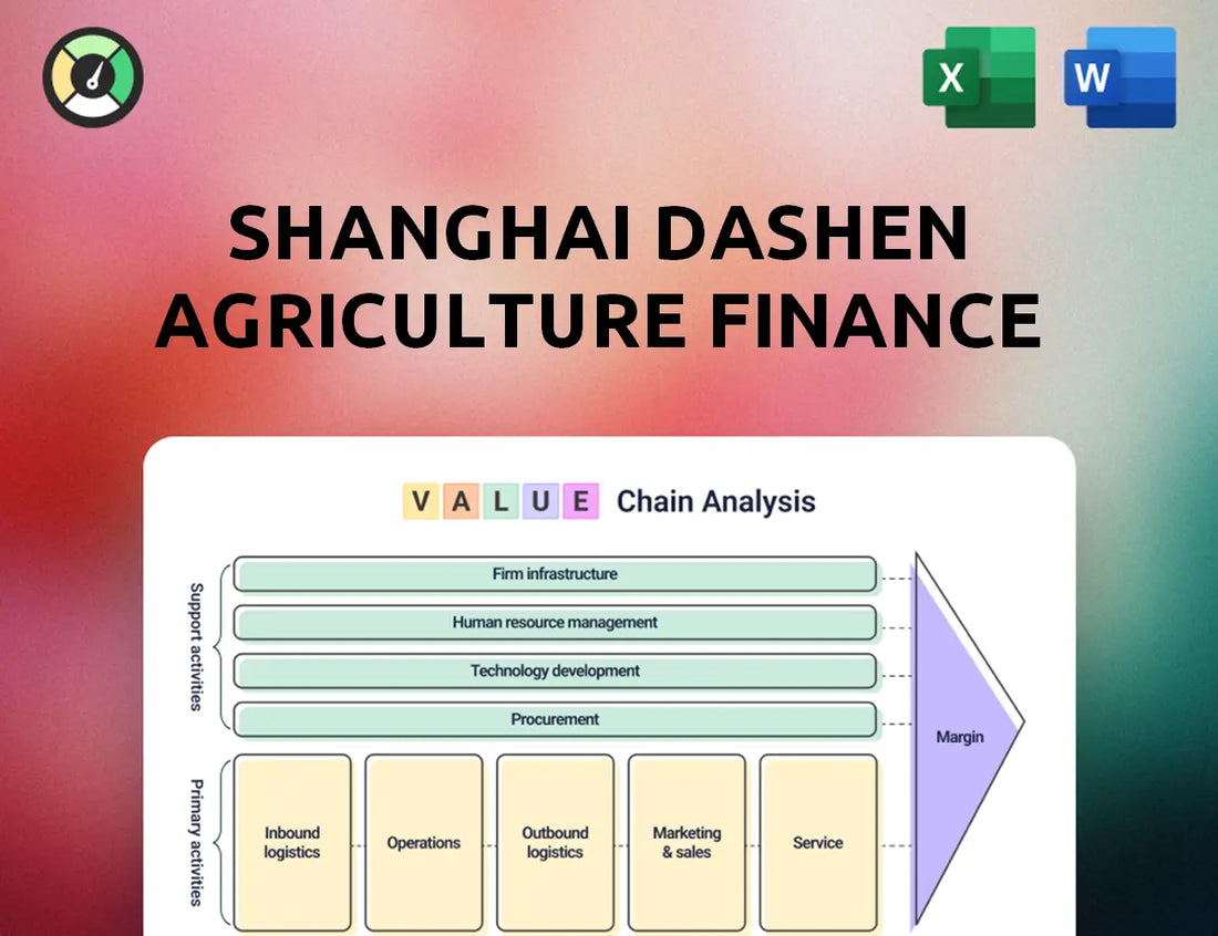 Shanghai Dashen Agriculture Finance Technology Value Chain Analysis