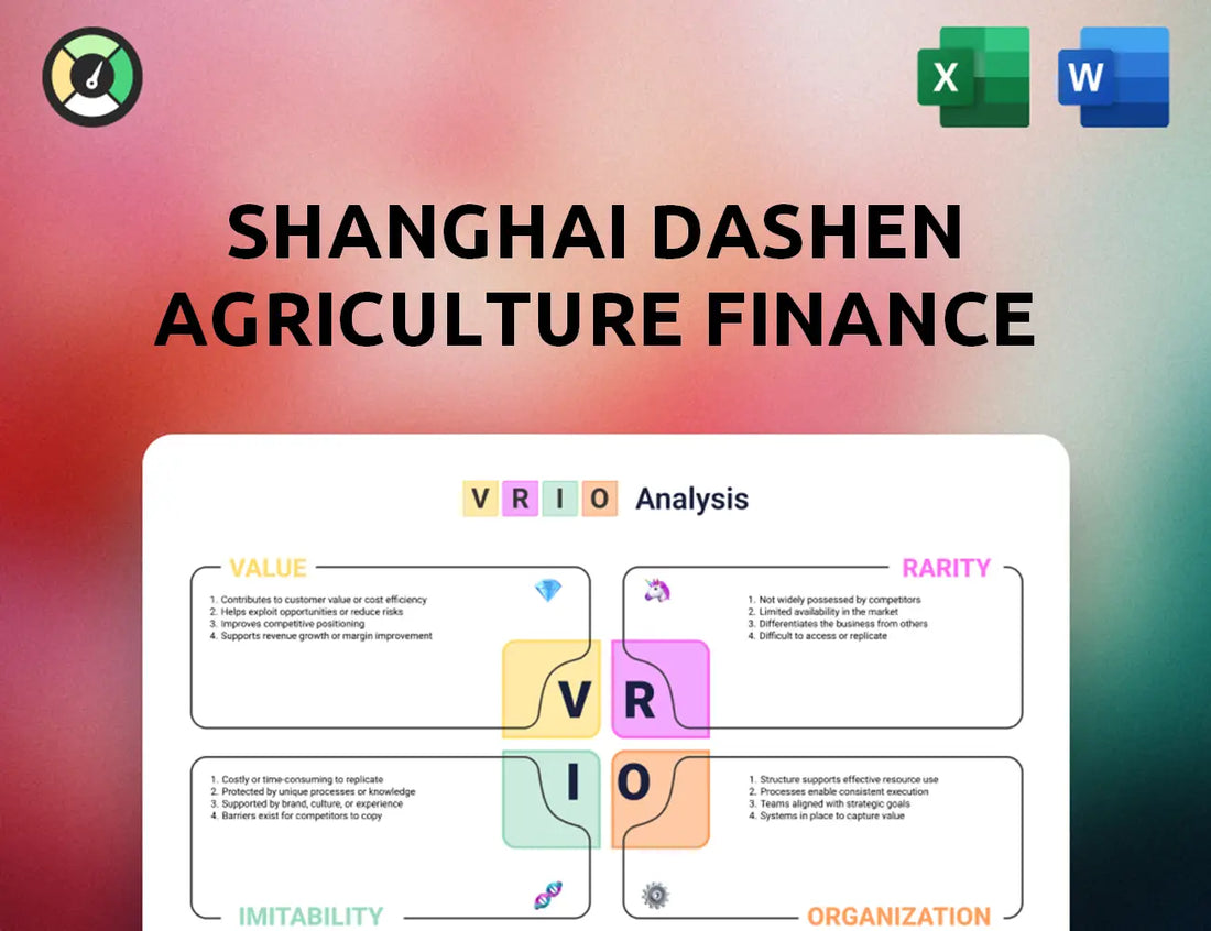 Shanghai Dashen Agriculture Finance Technology VRIO Analysis