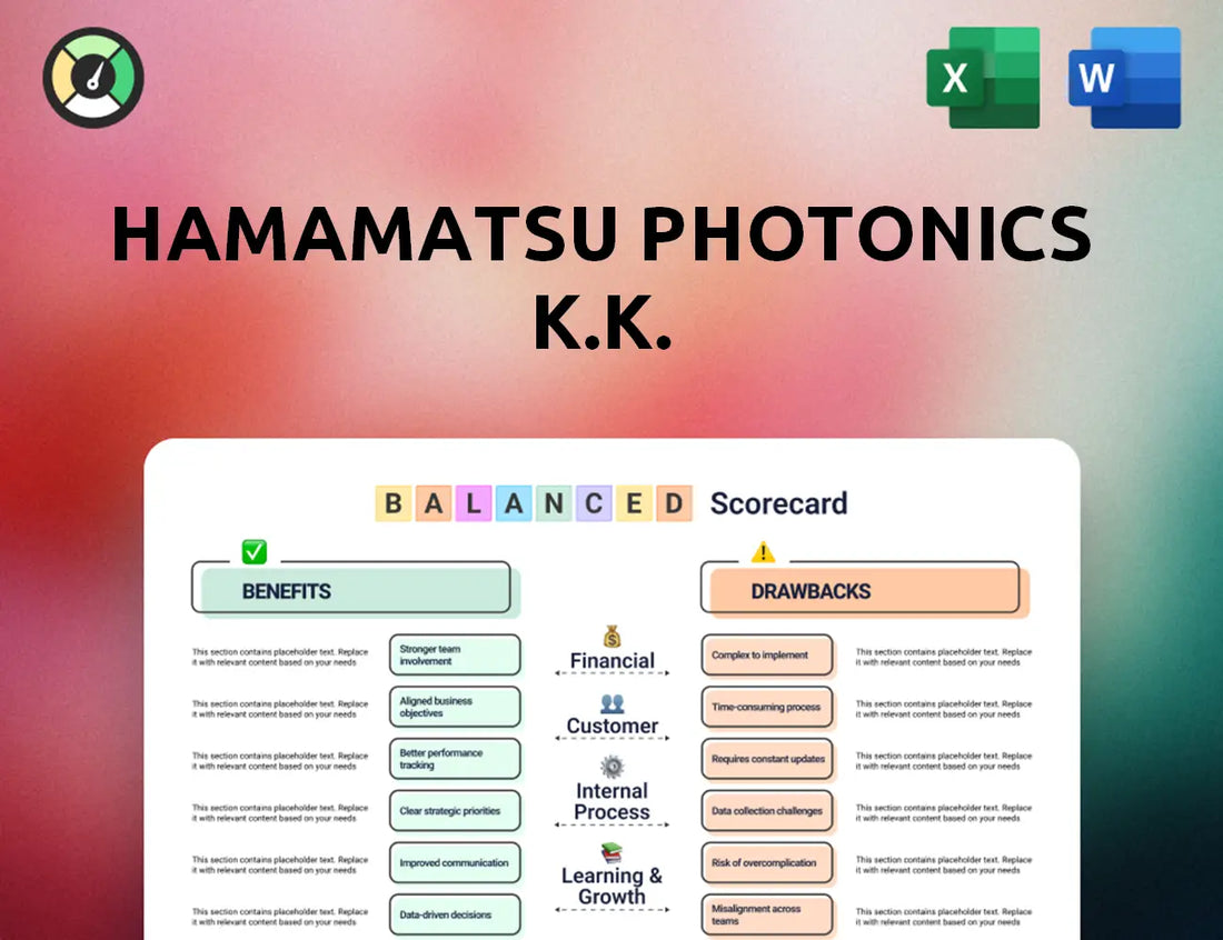Hamamatsu Photonics K.K. Balanced Scorecard