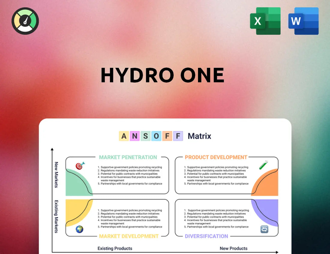 Hydro One Ansoff Matrix