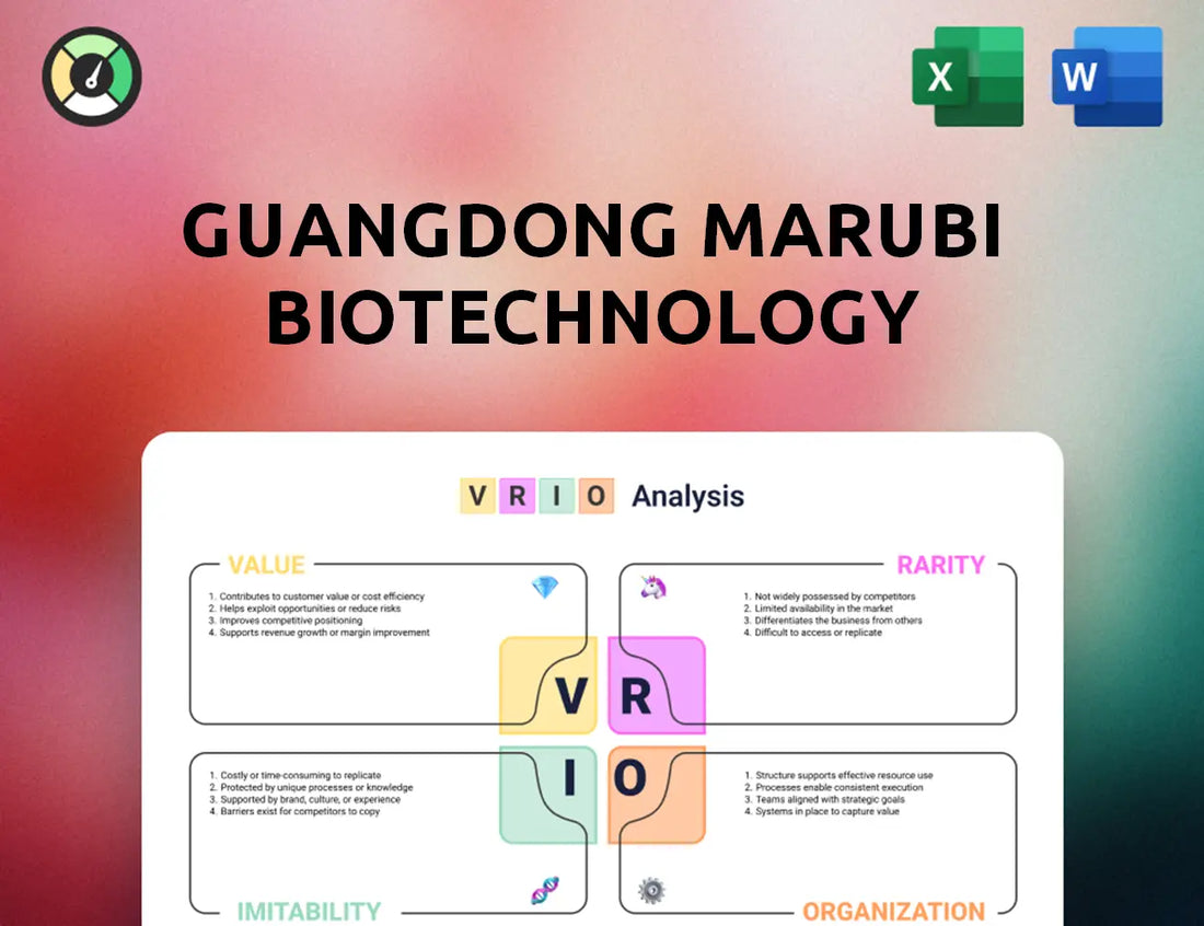 Guangdong Marubi Biotechnology VRIO Analysis