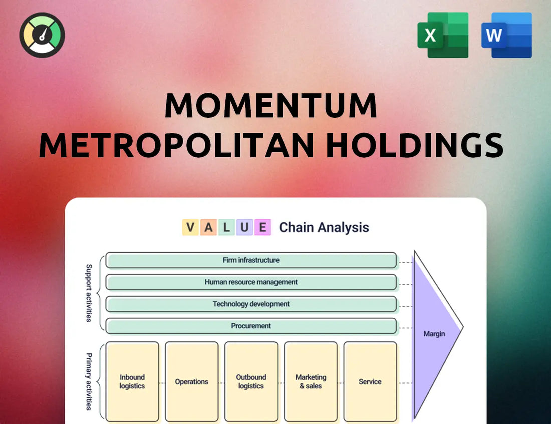 Momentum Metropolitan Holdings Value Chain Analysis