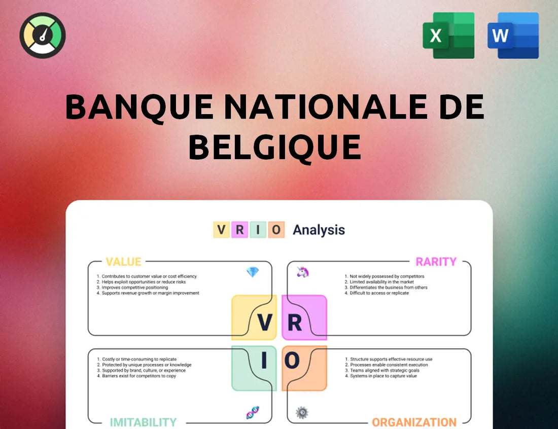 Banque nationale de Belgique VRIO Analysis