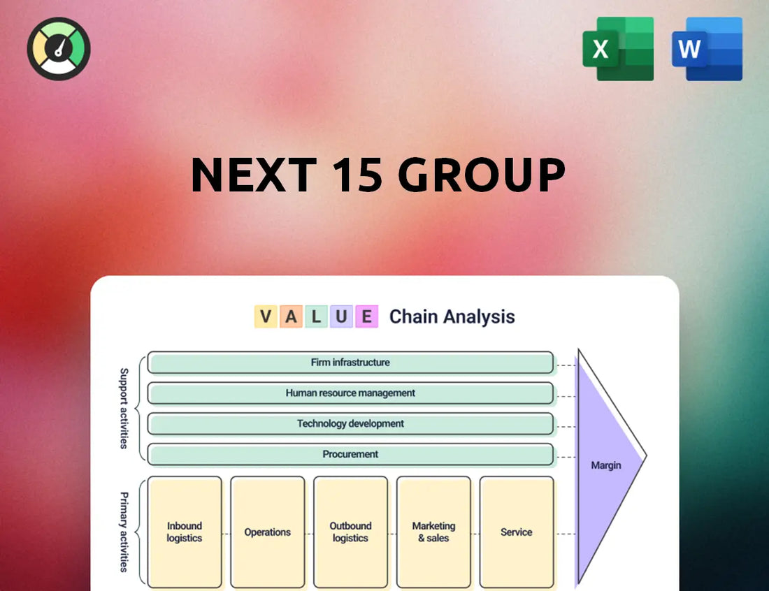 Next 15 Group Value Chain Analysis